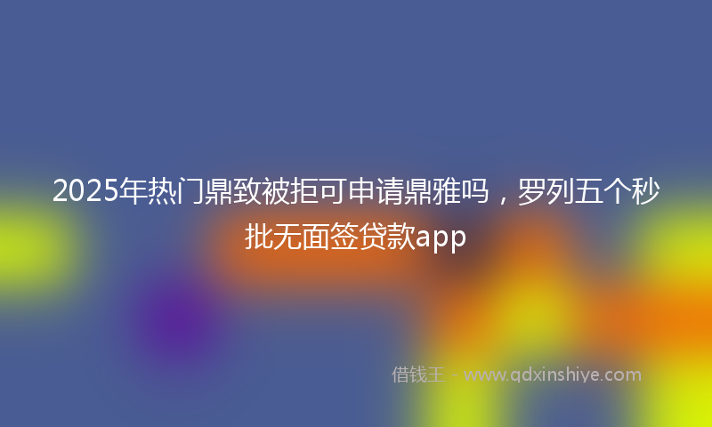 2025年热门鼎致被拒可申请鼎雅吗，罗列五个秒批无面签贷款app