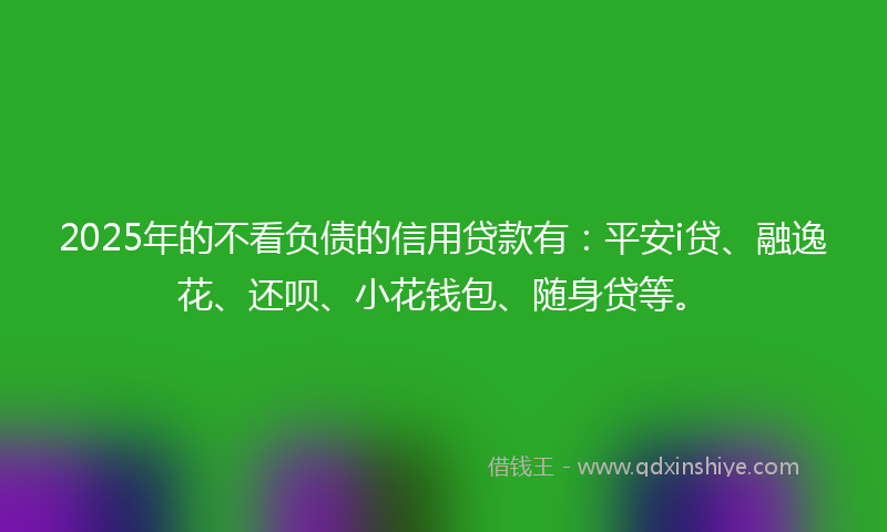 2025年的不看负债的信用贷款有：平安i贷、融逸花、还呗、小花钱包、随身贷等。