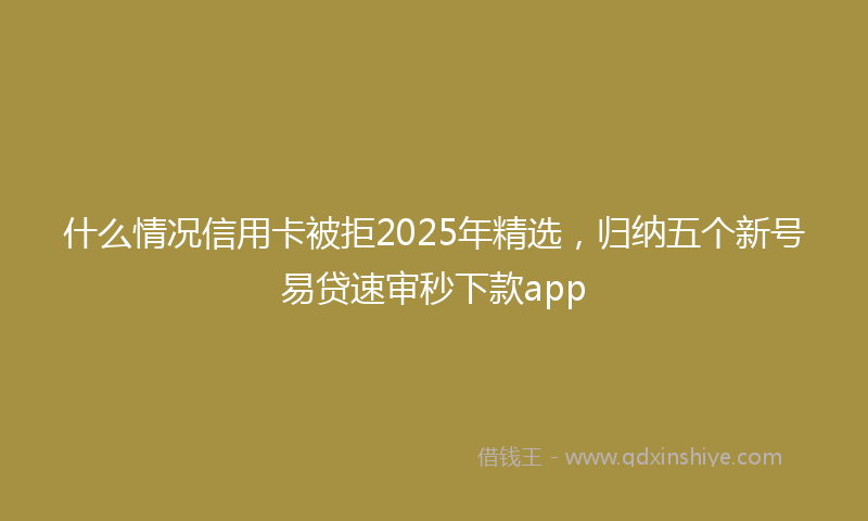 什么情况信用卡被拒2025年精选，归纳五个新号易贷速审秒下款app