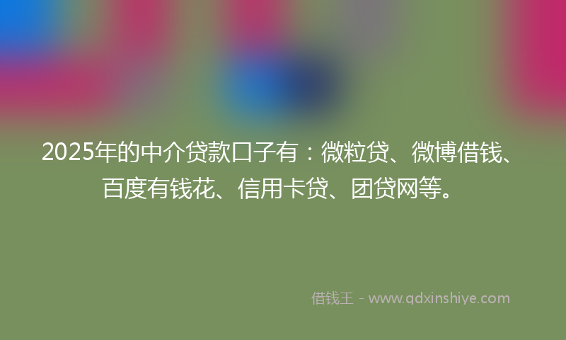 2025年的中介贷款口子有：微粒贷、微博借钱、百度有钱花、信用卡贷、团贷网等。