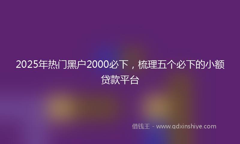 2025年热门黑户2000必下，梳理五个必下的小额贷款平台