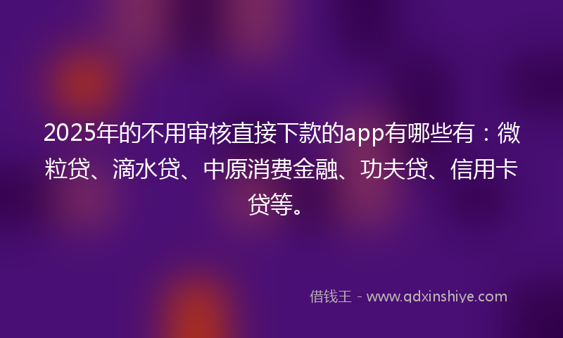 2025年的不用审核直接下款的app有哪些有：微粒贷、滴水贷、中原消费金融、功夫贷、信用卡贷等。