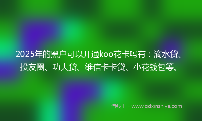 2025年的黑户可以开通koo花卡吗有：滴水贷、投友圈、功夫贷、维信卡卡贷、小花钱包等。