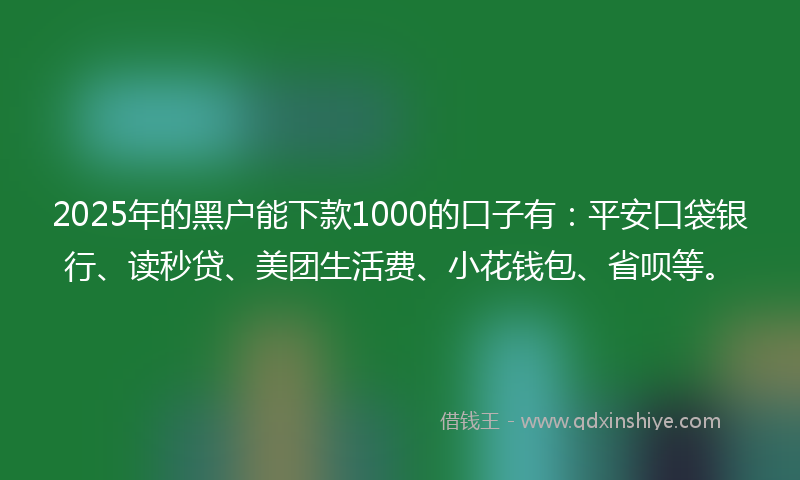 2025年的黑户能下款1000的口子有：平安口袋银行、读秒贷、美团生活费、小花钱包、省呗等。
