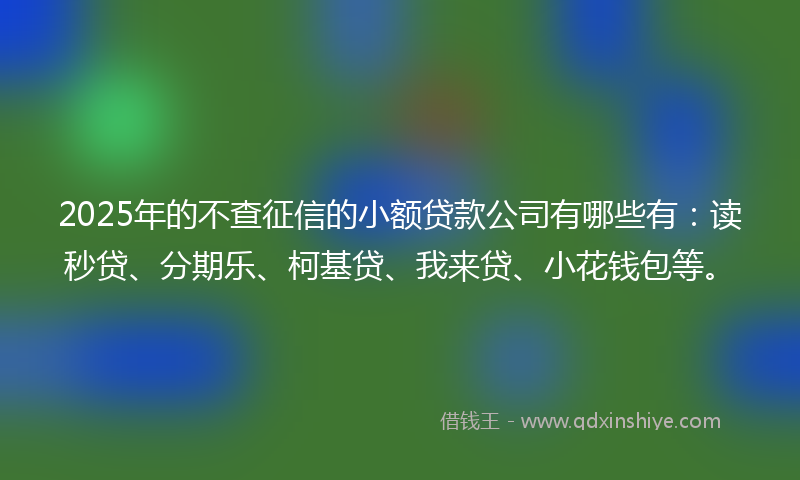 2025年的不查征信的小额贷款公司有哪些有：读秒贷、分期乐、柯基贷、我来贷、小花钱包等。