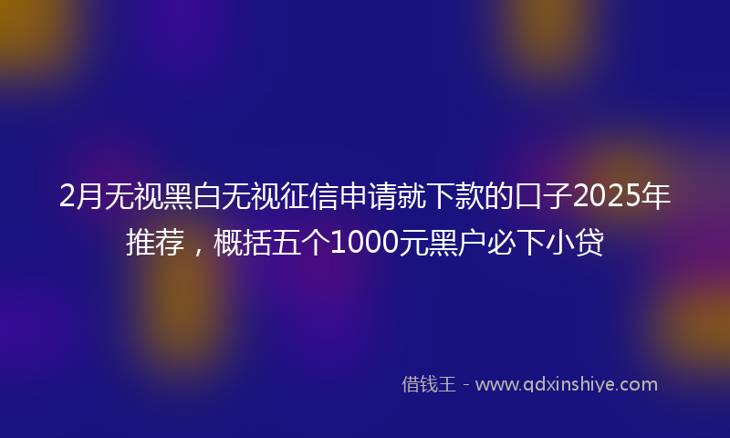 2月无视黑白无视征信申请就下款的口子2025年推荐，概括五个1000元黑户必下小贷