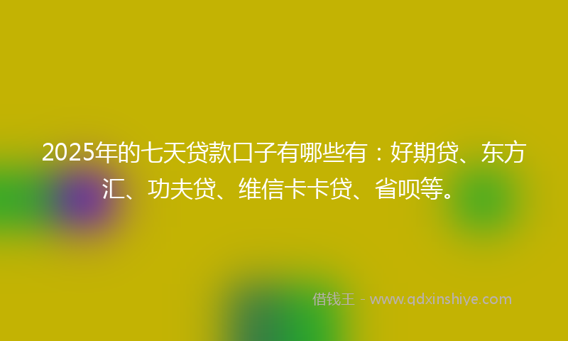 2025年的七天贷款口子有哪些有：好期贷、东方汇、功夫贷、维信卡卡贷、省呗等。