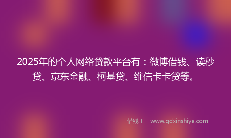 2025年的个人网络贷款平台有：微博借钱、读秒贷、京东金融、柯基贷、维信卡卡贷等。