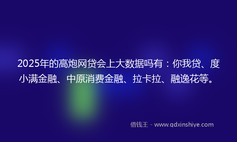 2025年的高炮网贷会上大数据吗有：你我贷、度小满金融、中原消费金融、拉卡拉、融逸花等。