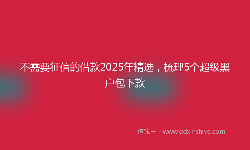 不需要征信的借款2025年精选，梳理5个超级黑户包下款