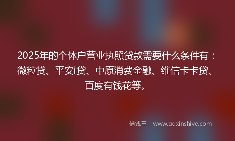 2025年的个体户营业执照贷款需要什么条件有：微粒贷、平安i贷、中原消费金融、维信卡卡贷、百度有钱花等。