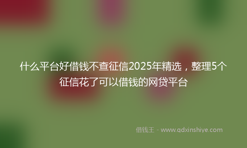 什么平台好借钱不查征信2025年精选，整理5个征信花了可以借钱的网贷平台