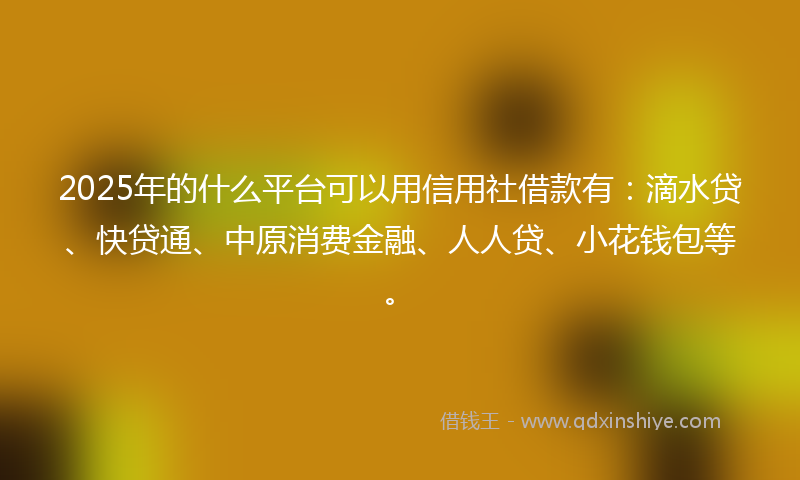 2025年的什么平台可以用信用社借款有：滴水贷、快贷通、中原消费金融、人人贷、小花钱包等。
