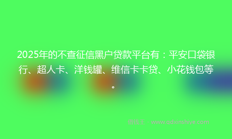 2025年的不查征信黑户贷款平台有：平安口袋银行、超人卡、洋钱罐、维信卡卡贷、小花钱包等。