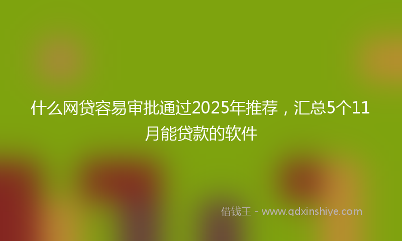什么网贷容易审批通过2025年推荐，汇总5个11月能贷款的软件