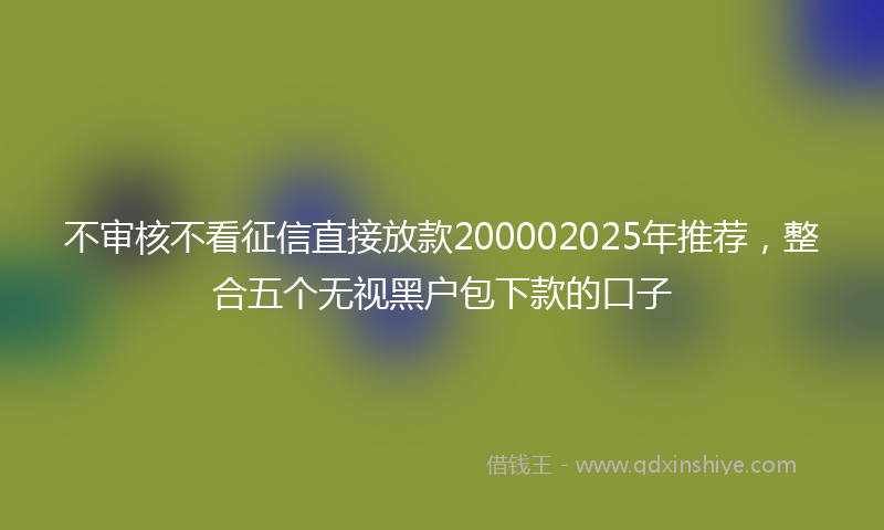 不审核不看征信直接放款200002025年推荐，整合五个无视黑户包下款的口子