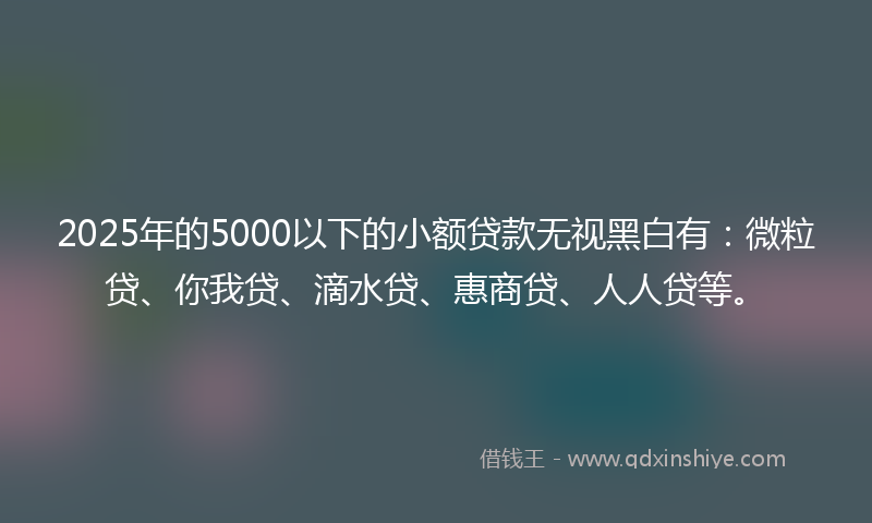2025年的5000以下的小额贷款无视黑白有：微粒贷、你我贷、滴水贷、惠商贷、人人贷等。