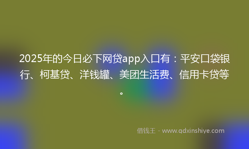 2025年的今日必下网贷app入口有：平安口袋银行、柯基贷、洋钱罐、美团生活费、信用卡贷等。