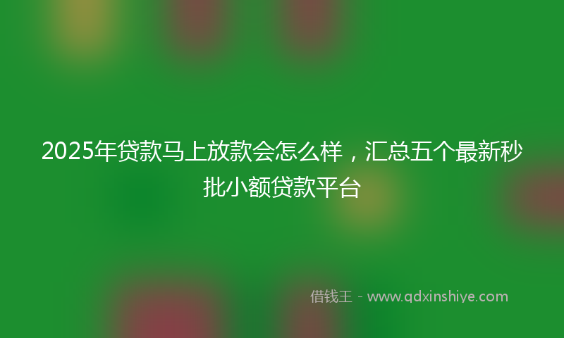 2025年贷款马上放款会怎么样，汇总五个最新秒批小额贷款平台