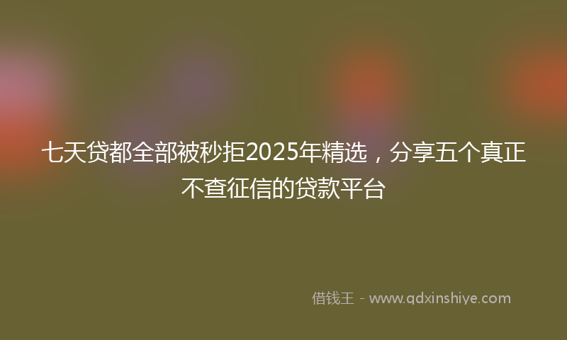 七天贷都全部被秒拒2025年精选，分享五个真正不查征信的贷款平台