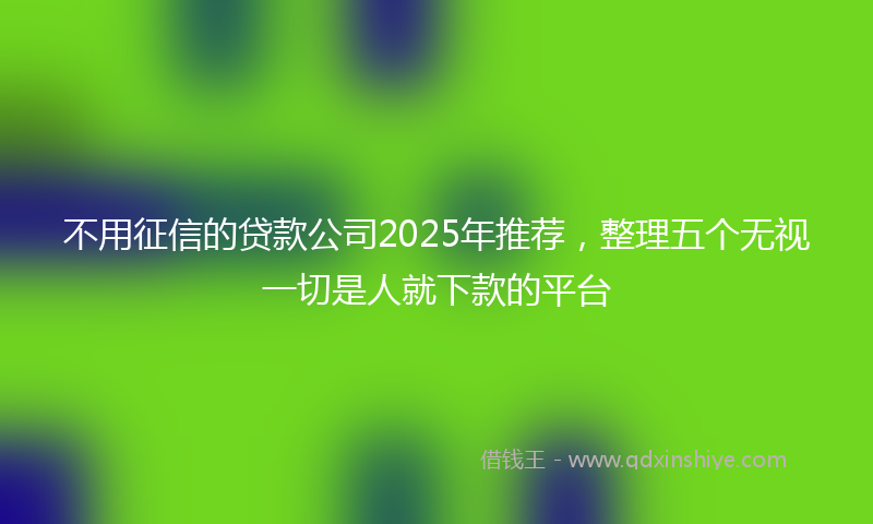 不用征信的贷款公司2025年推荐，整理五个无视一切是人就下款的平台