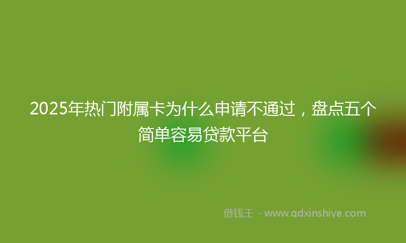 2025年热门附属卡为什么申请不通过，盘点五个简单容易贷款平台