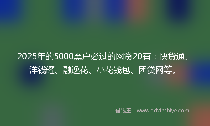 2025年的5000黑户必过的网贷20有：快贷通、洋钱罐、融逸花、小花钱包、团贷网等。