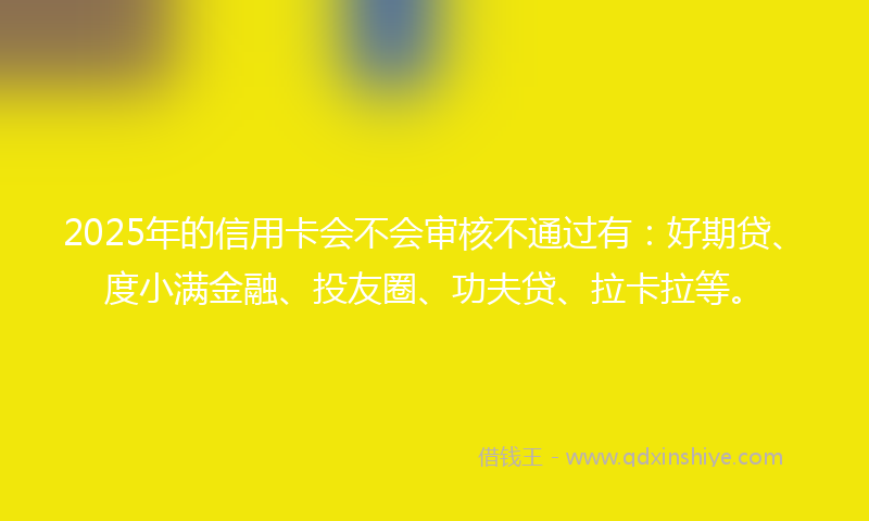 2025年的信用卡会不会审核不通过有：好期贷、度小满金融、投友圈、功夫贷、拉卡拉等。