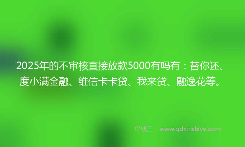 2025年的不审核直接放款5000有吗有：替你还、度小满金融、维信卡卡贷、我来贷、融逸花等。