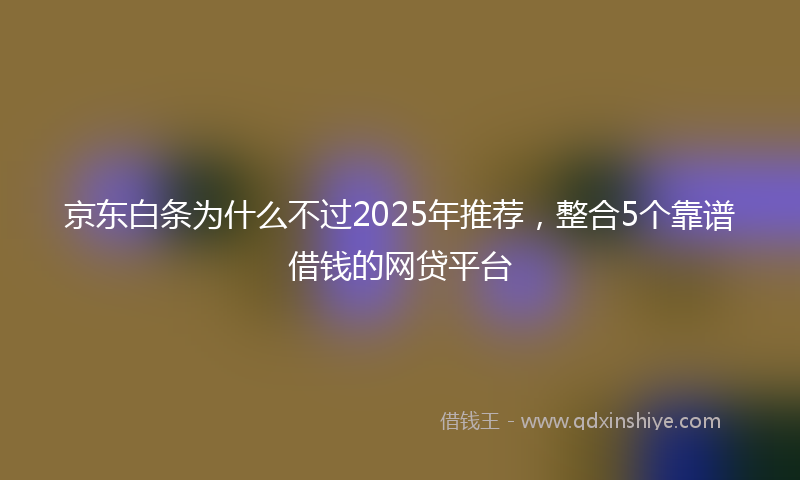 京东白条为什么不过2025年推荐，整合5个靠谱借钱的网贷平台