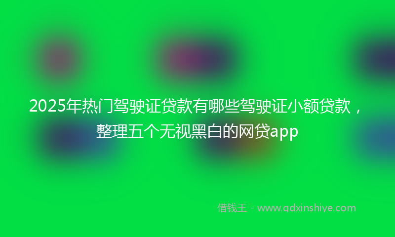 2025年热门驾驶证贷款有哪些驾驶证小额贷款，整理五个无视黑白的网贷app