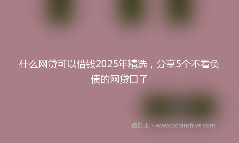 什么网贷可以借钱2025年精选，分享5个不看负债的网贷口子