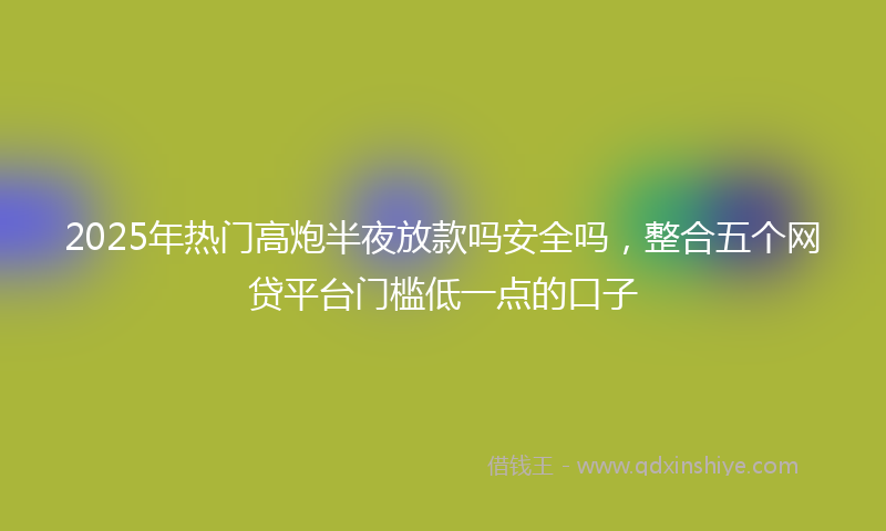 2025年热门高炮半夜放款吗安全吗，整合五个网贷平台门槛低一点的口子