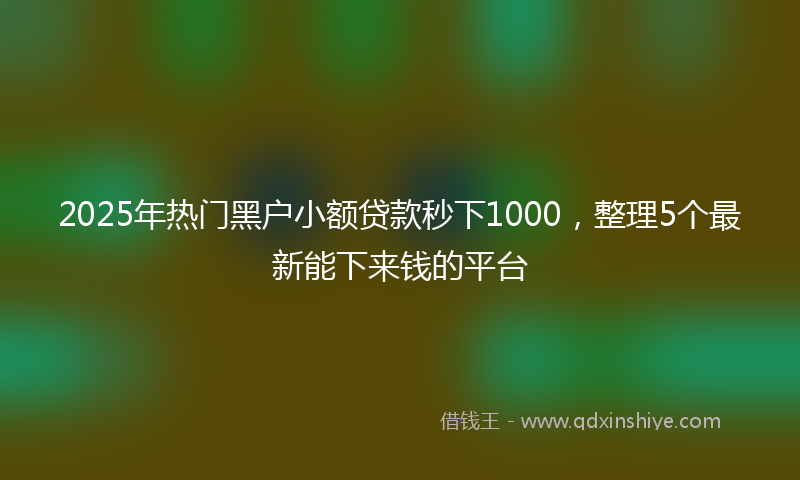 2025年热门黑户小额贷款秒下1000，整理5个最新能下来钱的平台