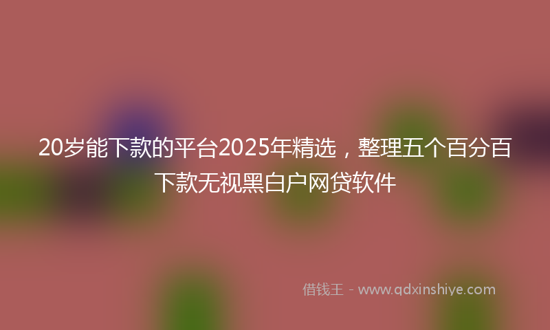 20岁能下款的平台2025年精选，整理五个百分百下款无视黑白户网贷软件