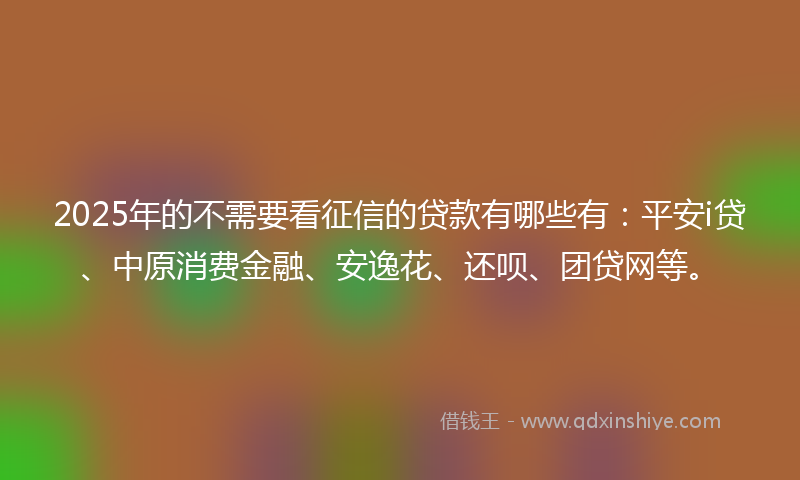 2025年的不需要看征信的贷款有哪些有：平安i贷、中原消费金融、安逸花、还呗、团贷网等。