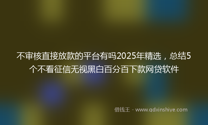 不审核直接放款的平台有吗2025年精选，总结5个不看征信无视黑白百分百下款网贷软件
