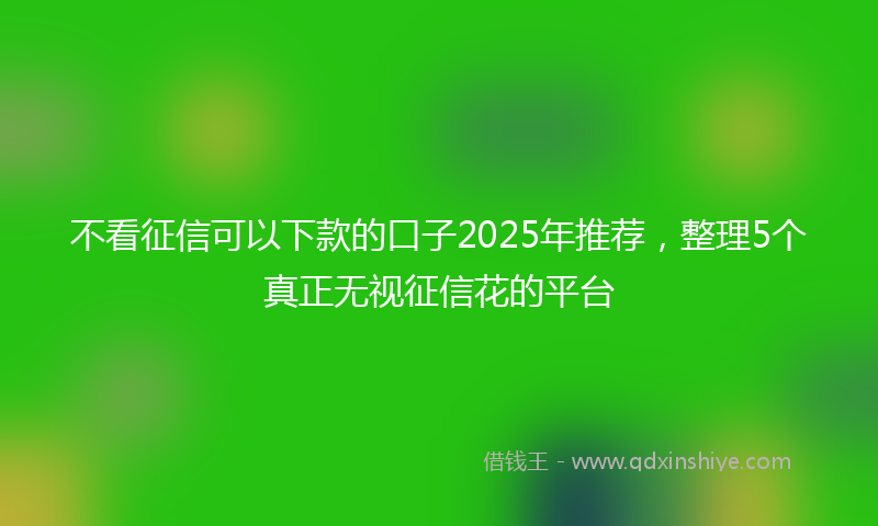 不看征信可以下款的口子2025年推荐，整理5个真正无视征信花的平台