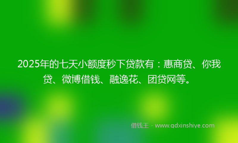2025年的七天小额度秒下贷款有：惠商贷、你我贷、微博借钱、融逸花、团贷网等。