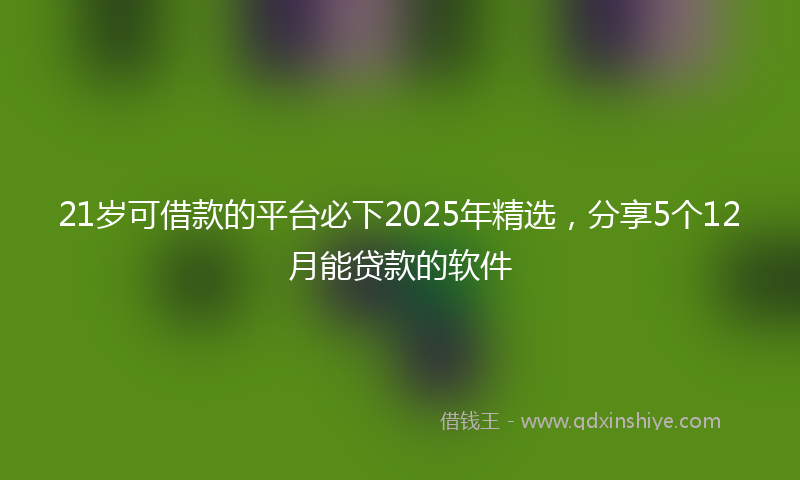 21岁可借款的平台必下2025年精选，分享5个12月能贷款的软件