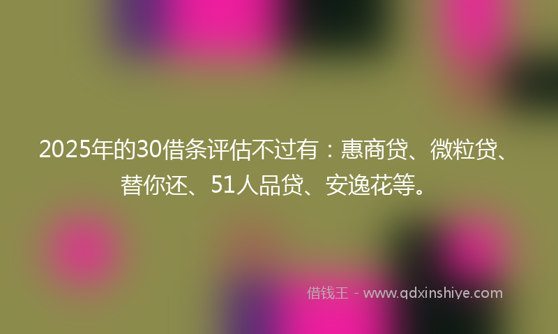 2025年的30借条评估不过有：惠商贷、微粒贷、替你还、51人品贷、安逸花等。