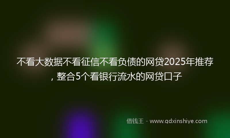 不看大数据不看征信不看负债的网贷2025年推荐，整合5个看银行流水的网贷口子