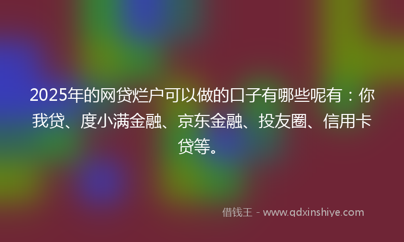 2025年的网贷烂户可以做的口子有哪些呢有：你我贷、度小满金融、京东金融、投友圈、信用卡贷等。