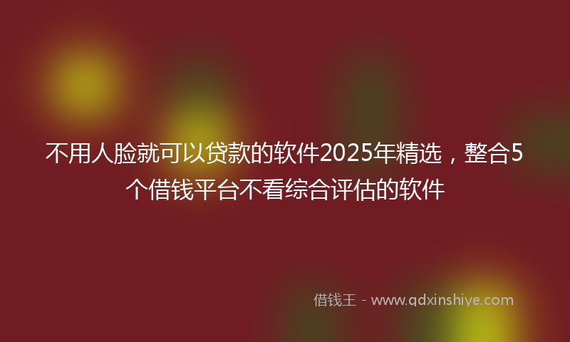 不用人脸就可以贷款的软件2025年精选，整合5个借钱平台不看综合评估的软件