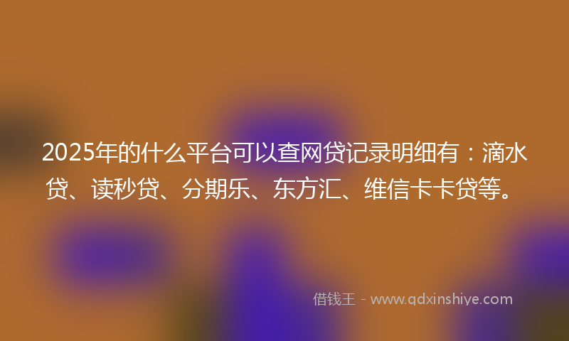 2025年的什么平台可以查网贷记录明细有：滴水贷、读秒贷、分期乐、东方汇、维信卡卡贷等。