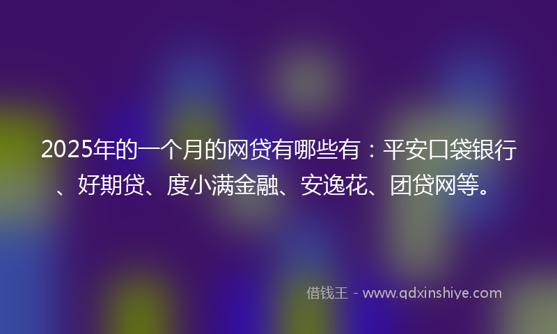 2025年的一个月的网贷有哪些有：平安口袋银行、好期贷、度小满金融、安逸花、团贷网等。