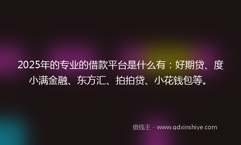 2025年的专业的借款平台是什么有：好期贷、度小满金融、东方汇、拍拍贷、小花钱包等。