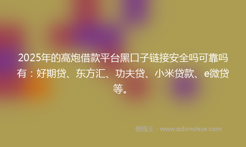 2025年的高炮借款平台黑口子链接安全吗可靠吗有：好期贷、东方汇、功夫贷、小米贷款、e微贷等。