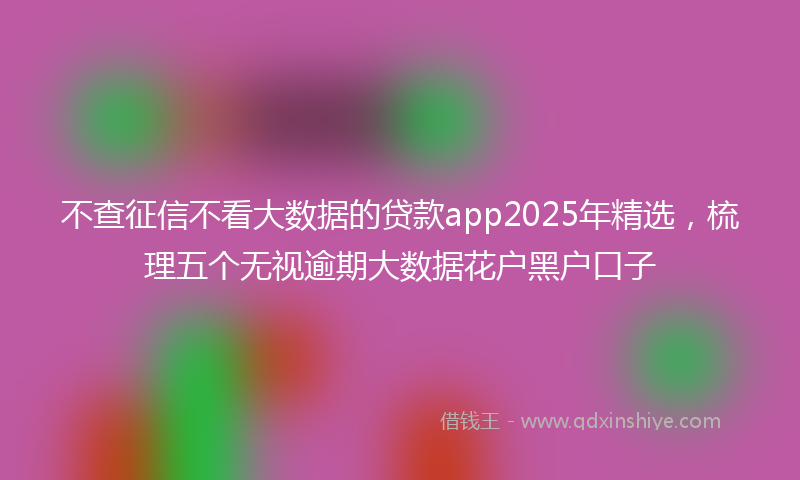 不查征信不看大数据的贷款app2025年精选，梳理五个无视逾期大数据花户黑户口子
