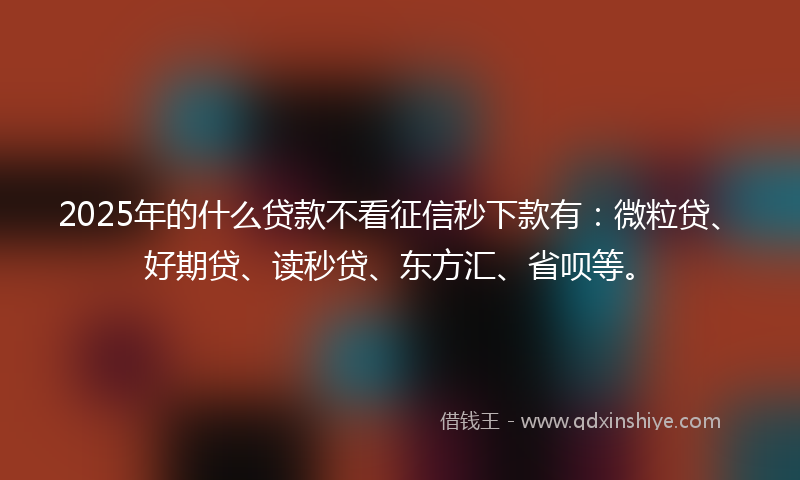 2025年的什么贷款不看征信秒下款有：微粒贷、好期贷、读秒贷、东方汇、省呗等。